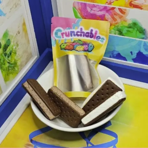 Freeze-Dried Ice Cream Sandwich