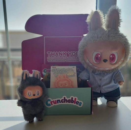 Labubu Mystery Box